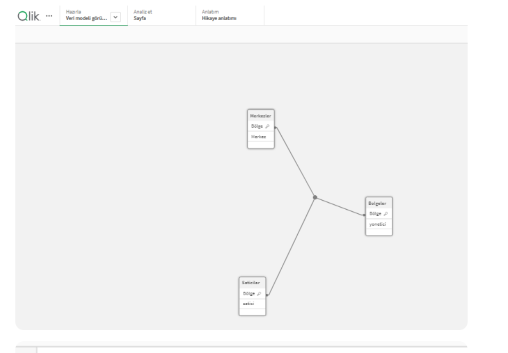 Qlik Sense Veri Modeli Görüntüleyici
